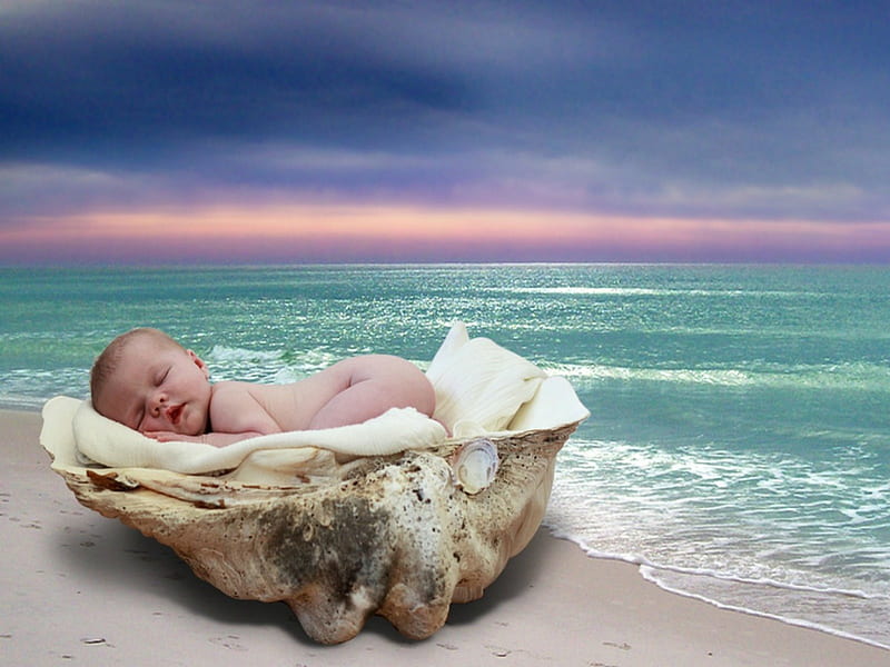 Seashell Baby, sunset, waves, blanket, sky, baby, sea, beach, seashell,  sand, HD wallpaper | Peakpx