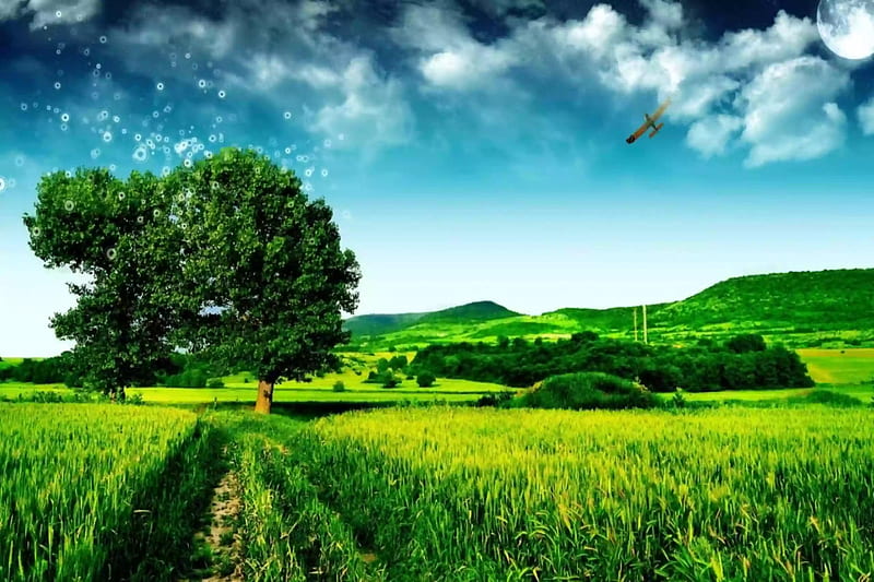 Beautiful Nature , beauty, blue, cloud, farm, green, sky, tree, HD wallpaper
