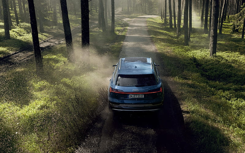 Audi e-tron, 2019 rear view, exterior, new blue e-tron, electric SUV, electric car, Audi, HD wallpaper