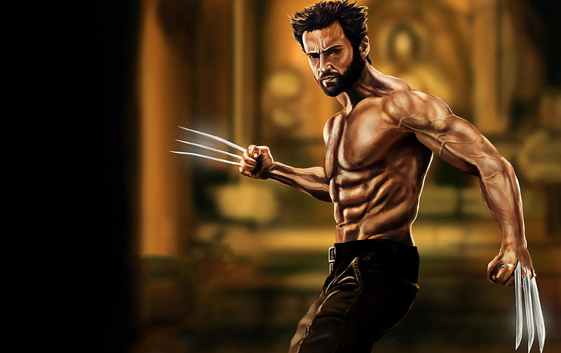 Wolverine, wolverine, superheroes, artwork, HD wallpaper