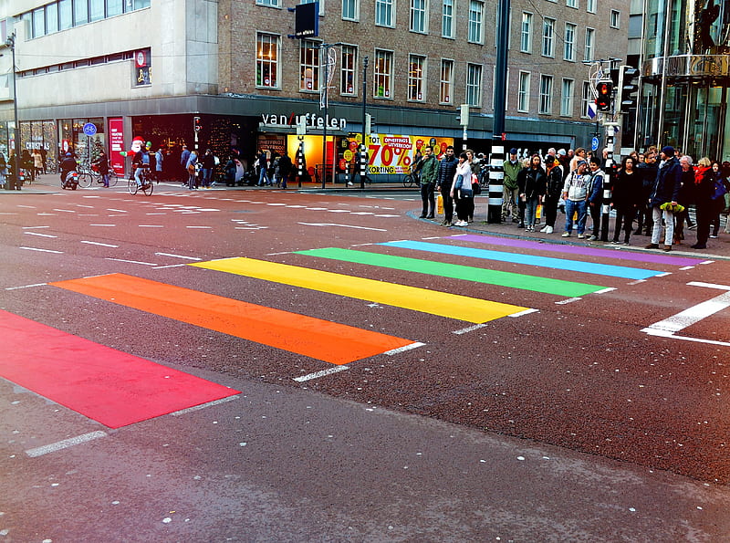 people standing on road in front of multicolored pedestrian line, HD wallpaper