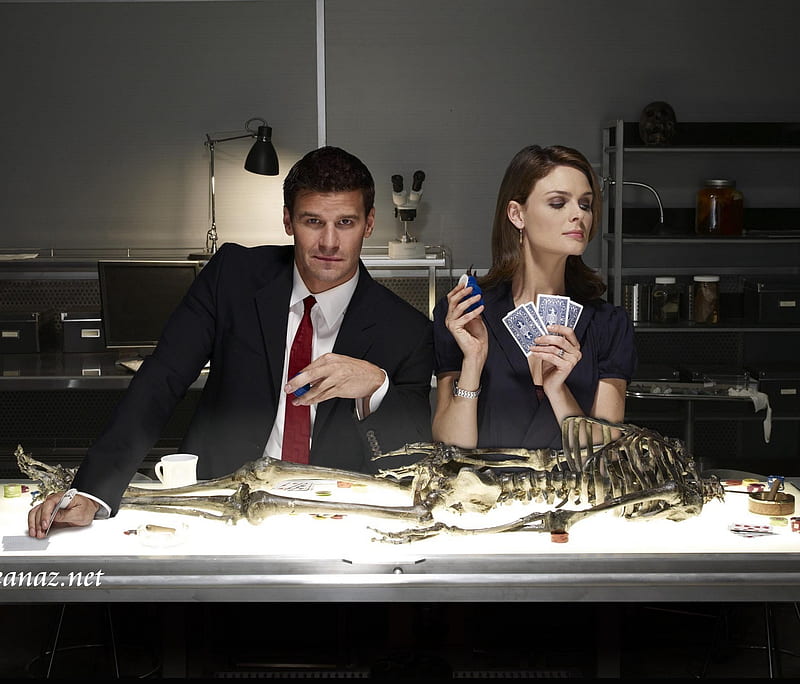 BONES, brenan, HD wallpaper BONES, brenan, HD wallpaper