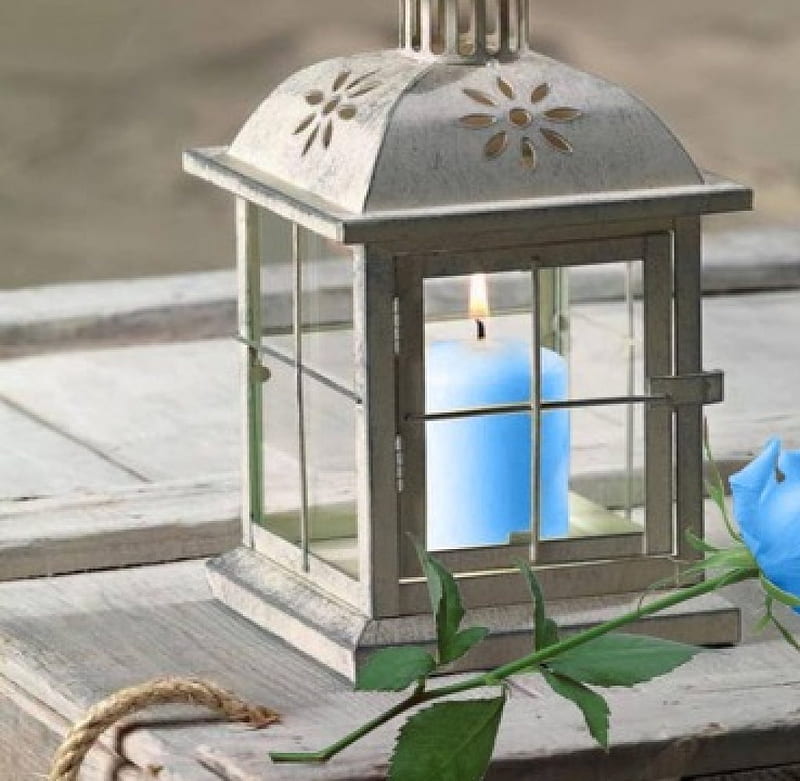 *For those who love blue*, candle, lantern, rose, single, wooden box, blue, HD wallpaper
