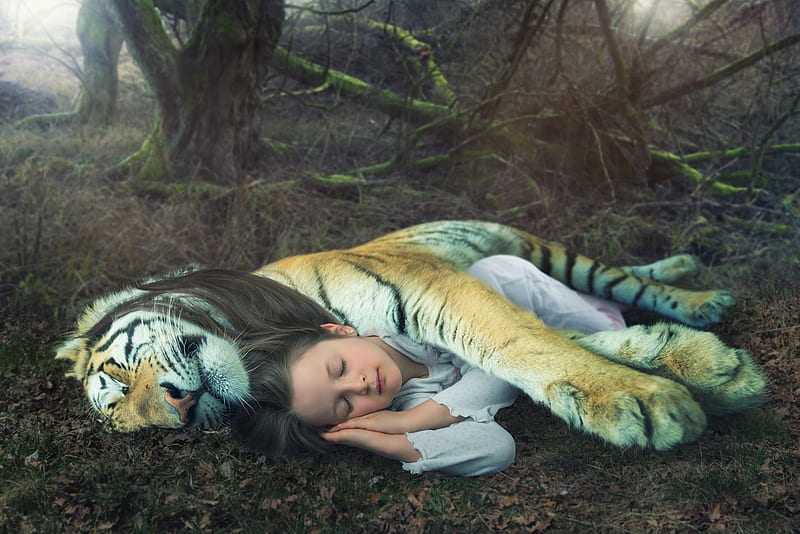 Just the annual springtime lethargy, john wilhelm, sleep, paw, tiger, spring, creative, situation, animal, fantasy, girl, little girl, copil, child, funny, HD wallpaper