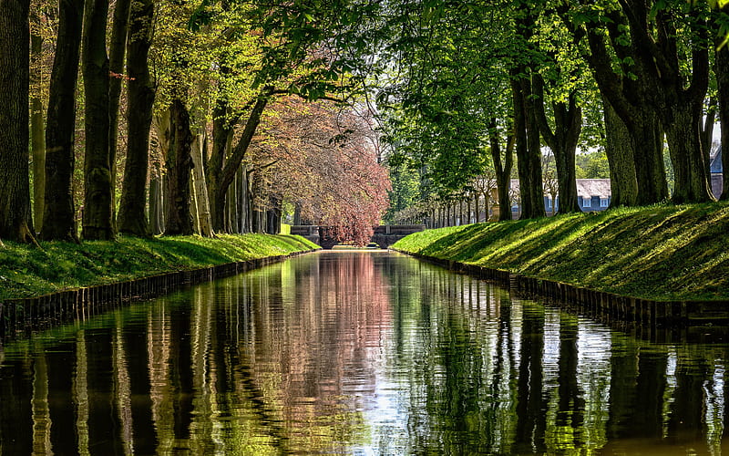 Canal in Park, avenue, water, canal, park, trees, alley, reflection, HD wallpaper