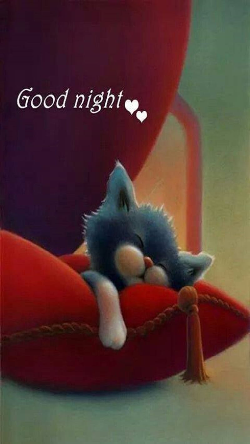 Good Night, cat, corazones, HD phone wallpaper