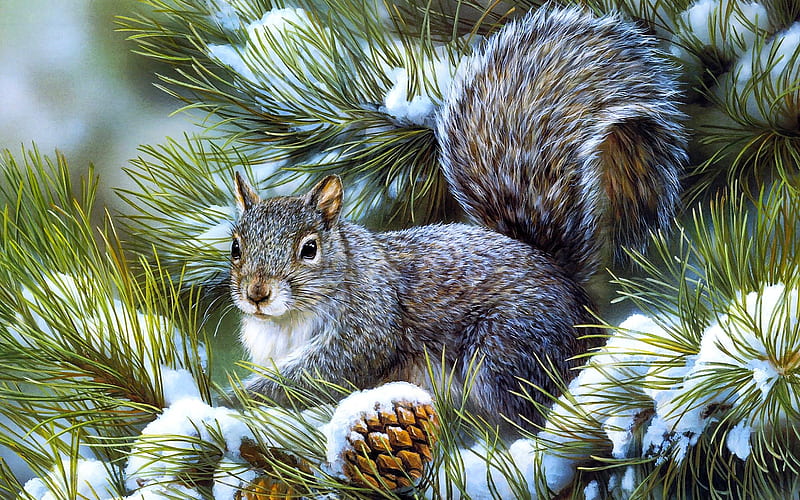 :-), pine cones, squirrel, fir, snow, HD wallpaper
