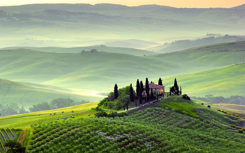 Tuscan Morning, trees, italy, hills, house, vineyard, cypresses, mist, HD wallpaper