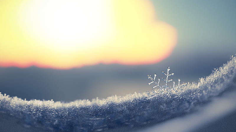 Macro Artistic Frozen Snowflake Snowflake, HD wallpaper