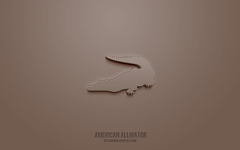 American alligator 3d icon, brown background, 3d symbols, American alligator, creative 3d art, 3d icons, American alligator sign, Animals 3d icons, HD wallpaper