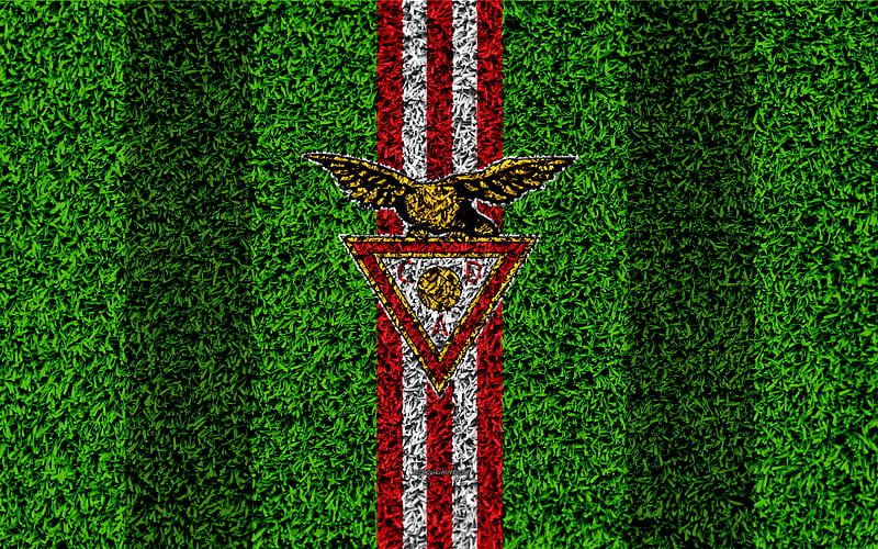 CD Aves logo, football lawn, Portuguese football club, red white lines, Primeira Liga, Vila daz Aviche, Portugal, football, Desportivo Aves, Aves fc, HD wallpaper
