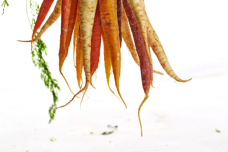 carrots and radishs, HD wallpaper