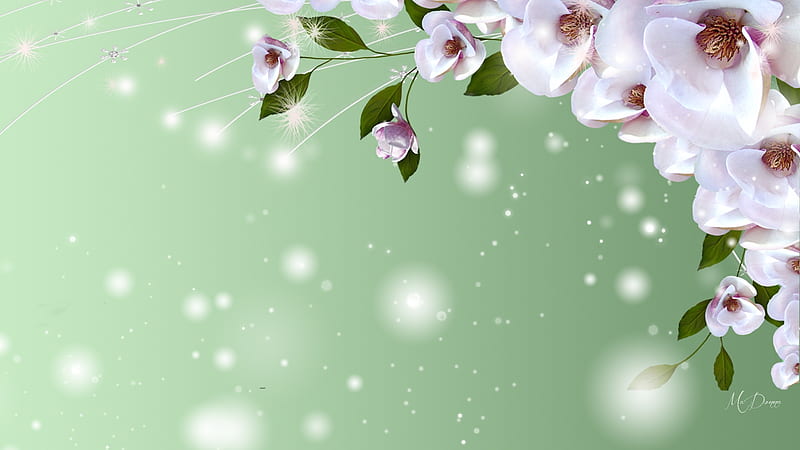 First Sign of Spring, sakura, spring, cherry blossoms, bokeh, green, blossoms, blooms, plum blossoms, Firefox Persona theme, light, HD wallpaper