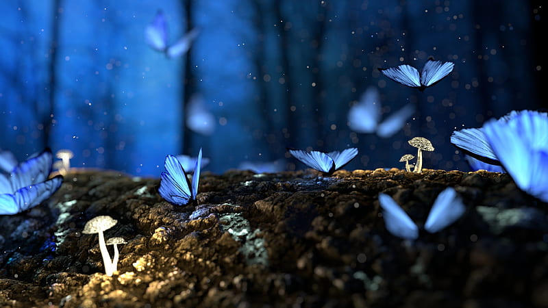 Magical Forest Evening, Nature, Trees, Nights, Butterflies, Mushrooms, Forests, Lights, HD wallpaper