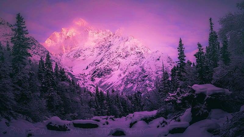 Mt Yukla, Chugach Mountains, Alaska, snow, landscape, trees, sky, usa, mountain, sunrise, HD wallpaper
