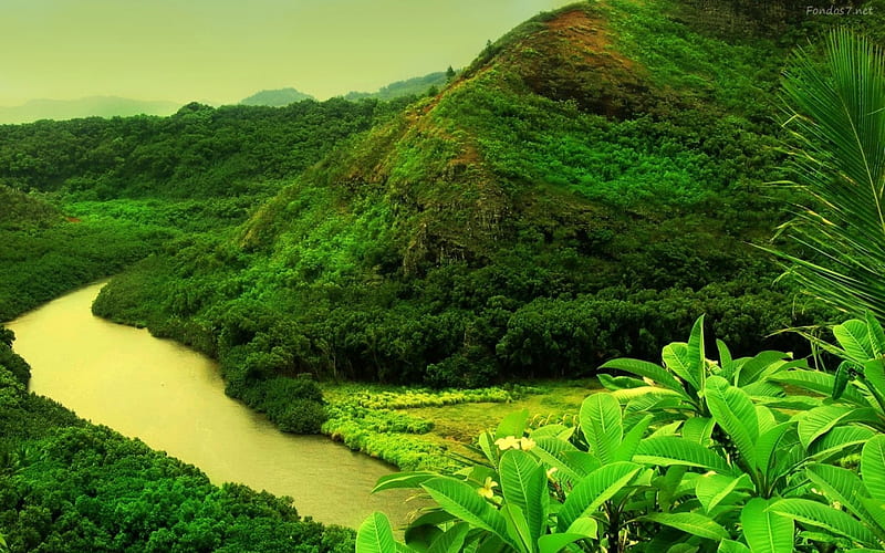 Beautiful Scenery, mountain, nature, green, landscape, HD wallpaper