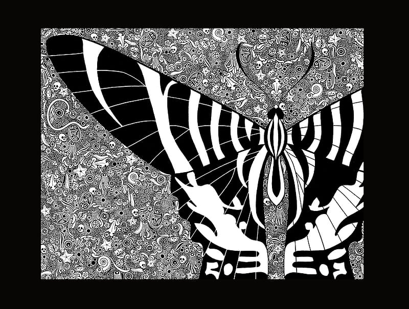 Illustrated & Cropped Butterfly, skeleton, dots, circles, black and white, butterfly, 821x621, oval, texture, flowers, low-res, frogs, stars, line art, triangle, detail, black, starfish, shells, white, HD wallpaper