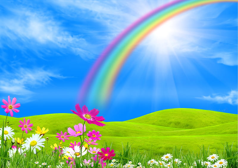 Rainbow, colorful, sun, grass, sunny, clouds, green, flowers, blue, sunlight, colors, sky, daisies, rays, summer, nature, daisy, field, HD wallpaper