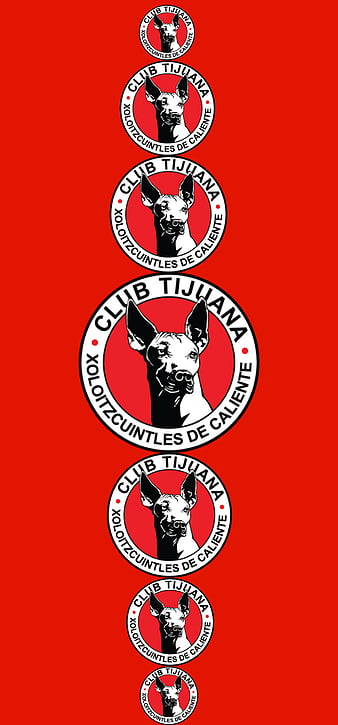 10 Awesome xolos tijuana wallpaper images | Xolos, Tijuana, Guerreros