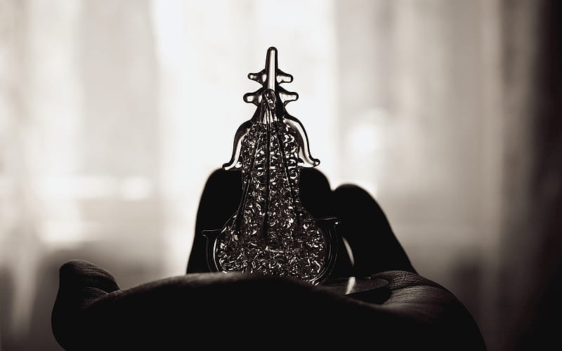 Little violin, violin, nice, graphy, macro, black, whire, HD wallpaper