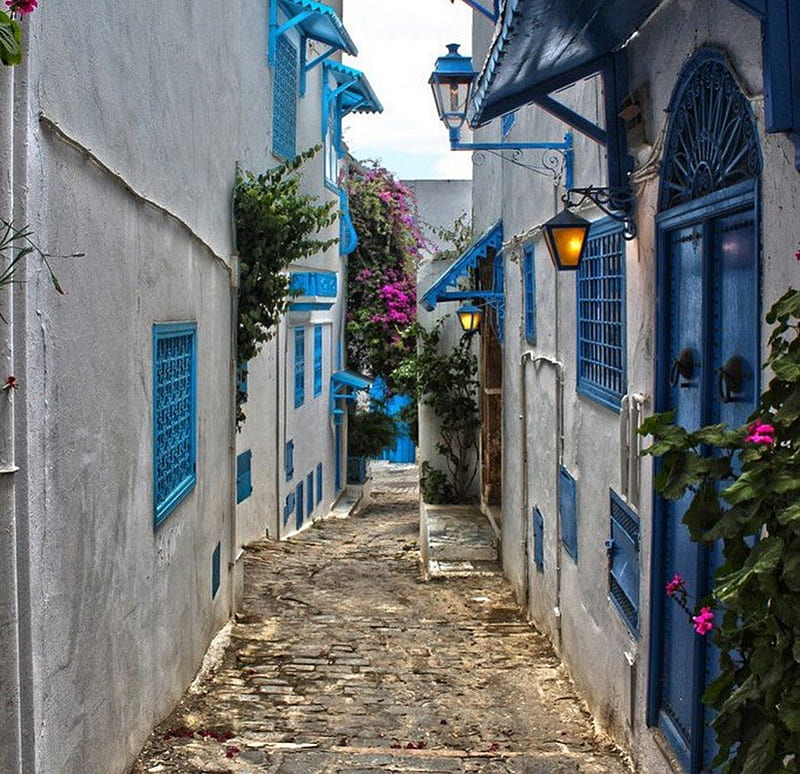 Stone street, architecture, houses, graphy, stones, flowers, beauty, white,  street, HD wallpaper | Peakpx