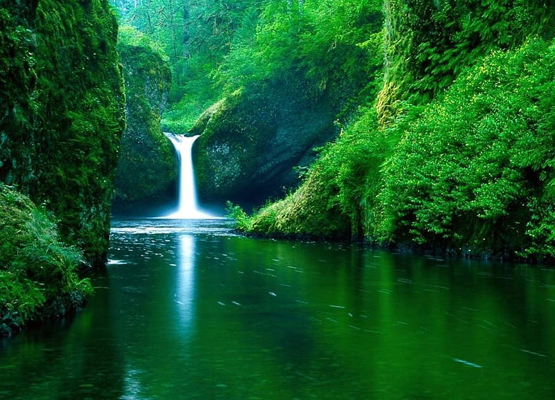 Falls in a Lush Green Background, water, lush and dense trees, river, green foliage, falls, HD wallpaper