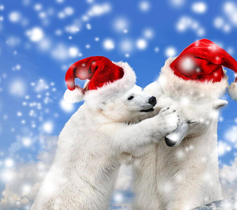 Christmas Bears, bear, cute, merry, santa, snow, white, winter, HD wallpaper