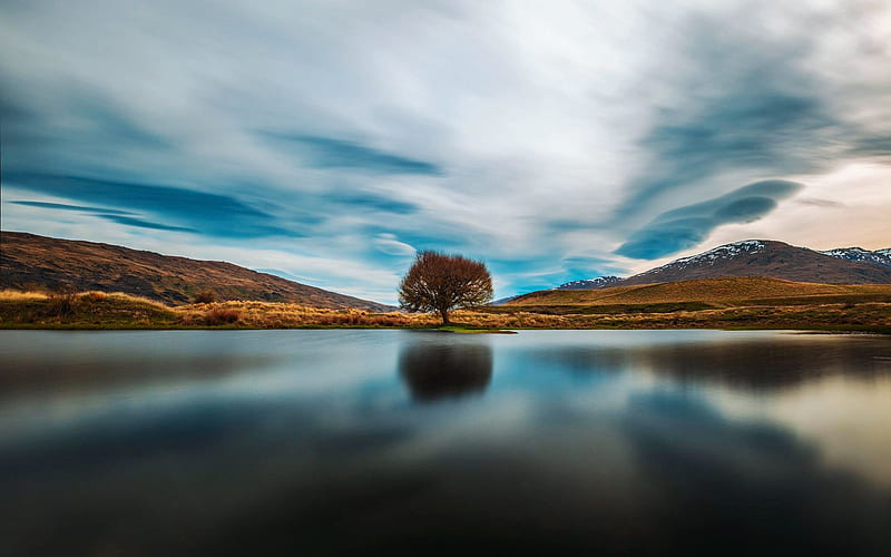A tree on South Island, New Zealand, clouds, sky, sea, hills, water, reflections, HD wallpaper