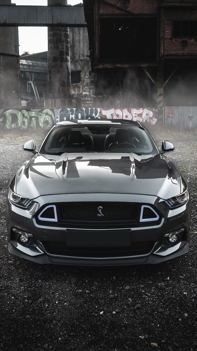 Shelby Mustang, coche, carros, esports, Fondo de pantalla de teléfono HD |  Peakpx
