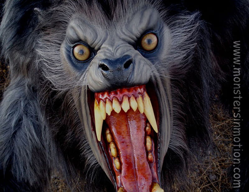 American werewolf in London, werewolf, fantasy, wolf, horror, HD wallpaper