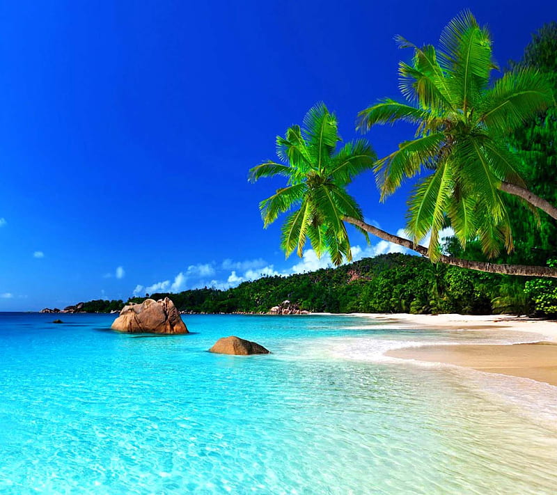 Tropical Beach, look, nice, HD wallpaper | Peakpx