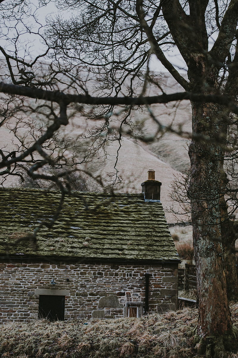 house, building, old, tree, hill, HD phone wallpaper