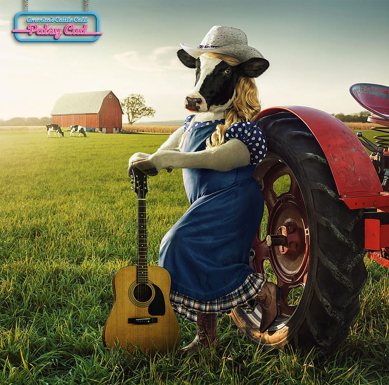 Cowgirl, cow, tractor, andy mahr, creative, hat, instrument, fantasy, add, guitar, green, vaca, funny, commercial, field, HD wallpaper