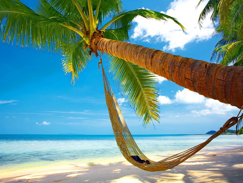 Tropical hammock, sunny, palm, bonito, hammock, clouds, sea, beach, tropics, blue, rest, exotic, romantic, ocean, sky, water, ssand, summer, nature, tropical, palm tree, HD wallpaper