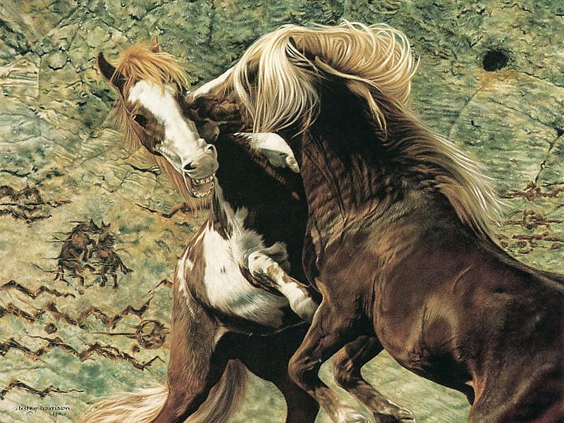 Juego salvaje, pintura, jugando, caballos, Fondo de pantalla HD | Peakpx