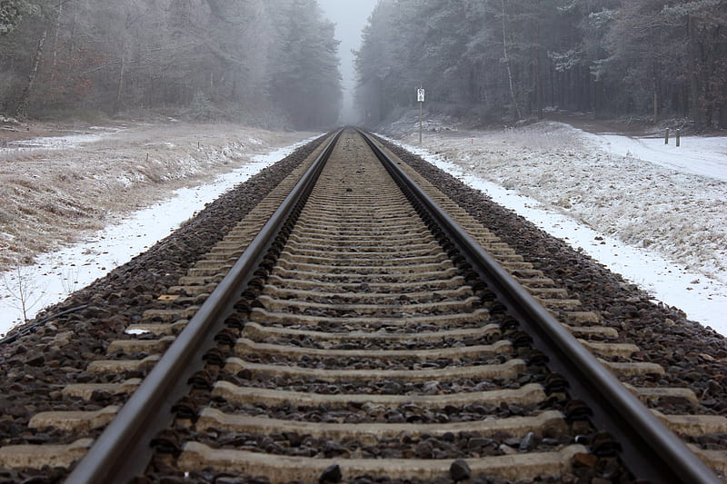 railway, rails, forest, snow, fog, HD wallpaper