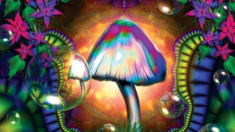 Colors, Mushroom, Artistic, Psychedelic, HD wallpaper