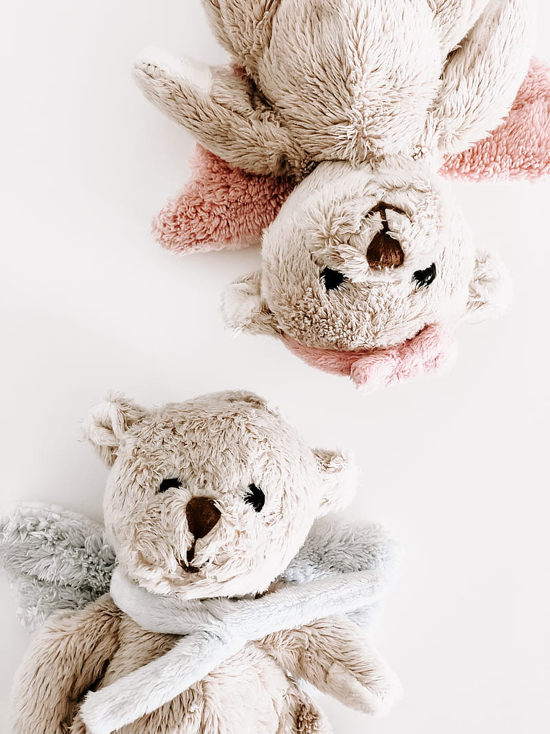 two brown bear plush toys on white surface, HD phone wallpaper