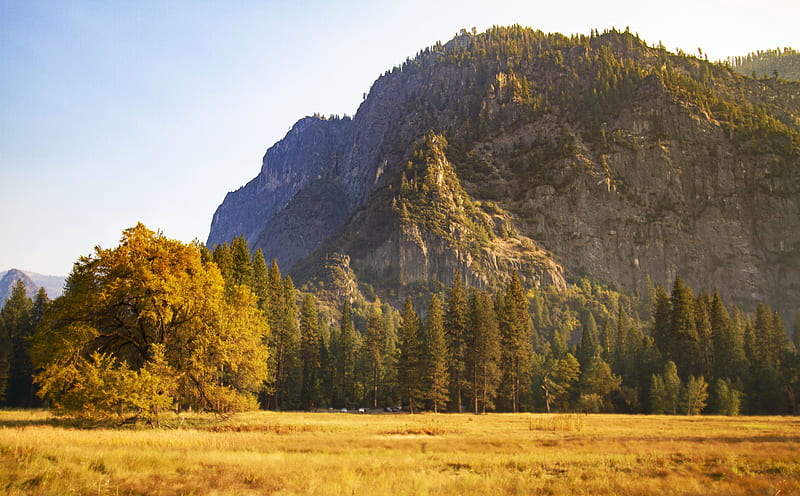 Fall Colors in Yosemite, California, fall, usa, national park, colors, trees, sky, landscape, HD wallpaper