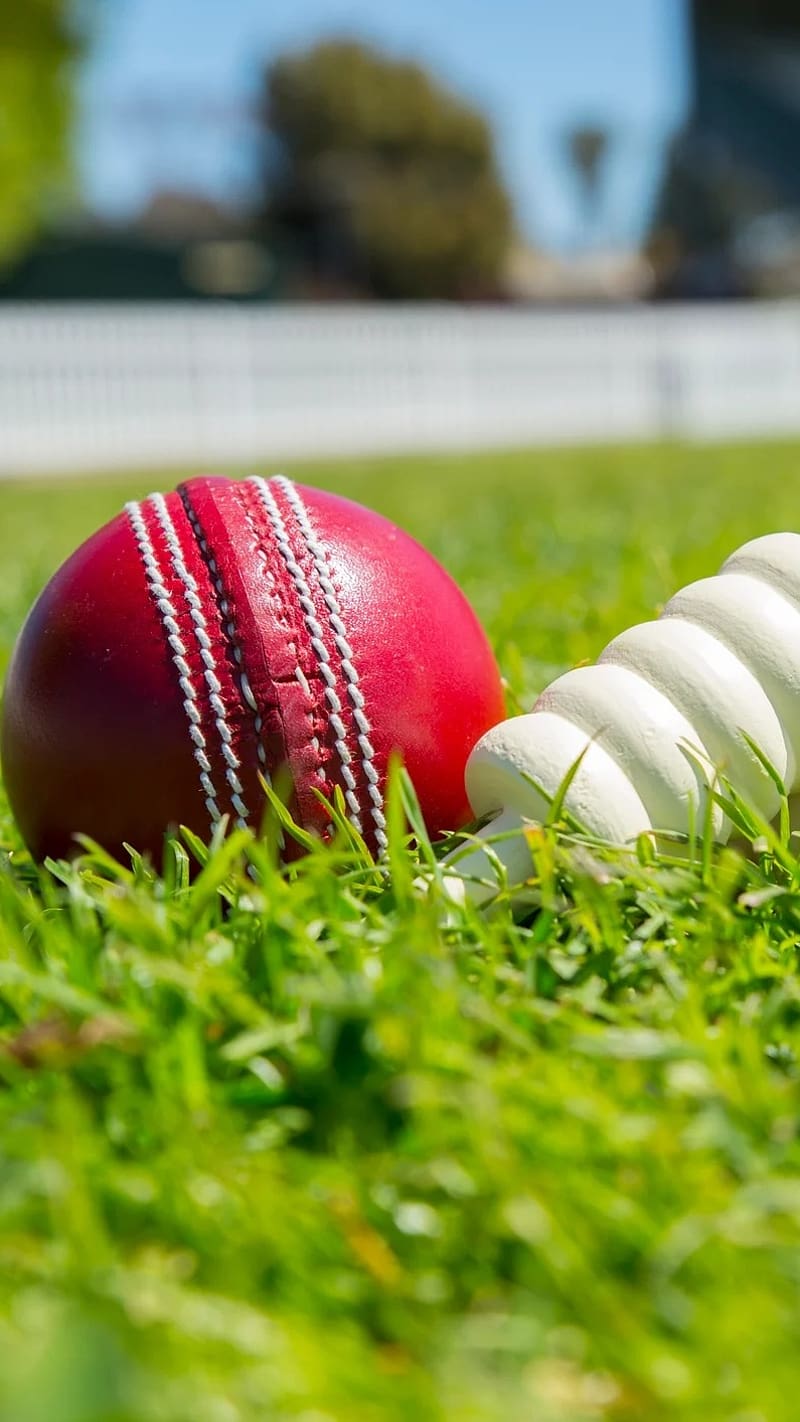 Cricket Ka Rad Ball With Stump Gilli, cricket ka, green, ground, ball, red,  HD phone wallpaper | Peakpx