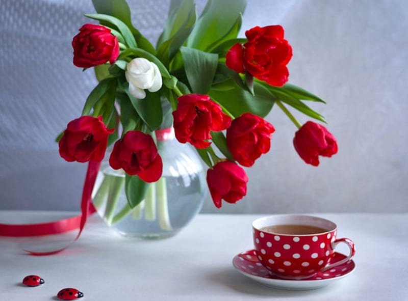 Still Life, red, vases, flowers, cup, tulips, white, HD wallpaper