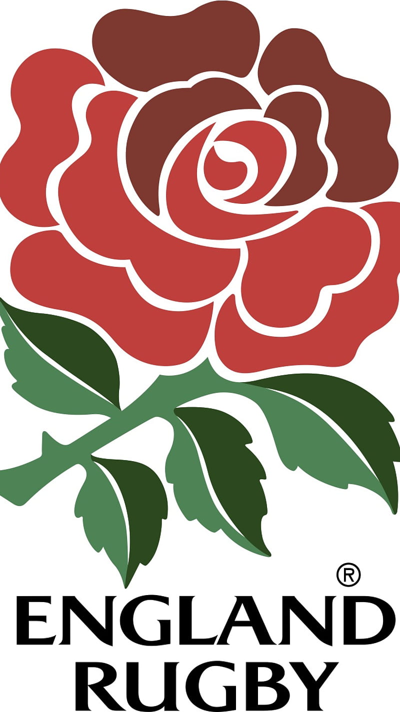 England Rugby, HD phone wallpaper