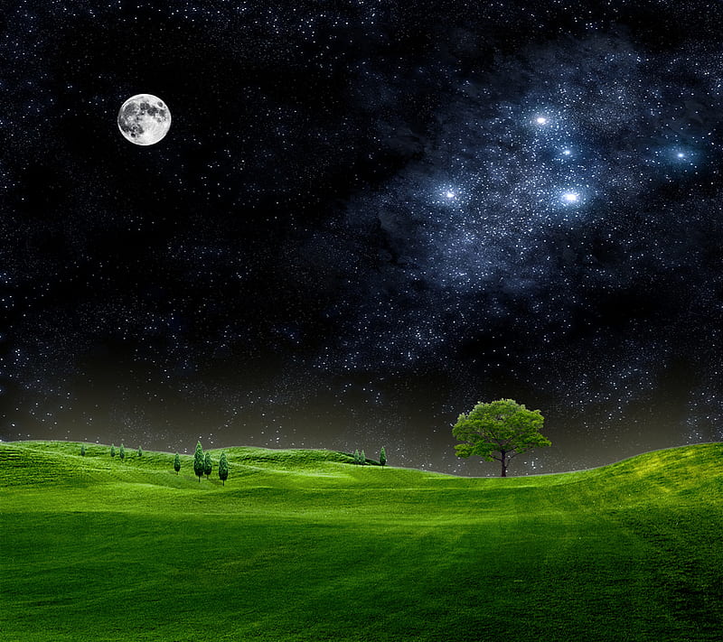 Night sky, field, grass, moon, nature, new, nice, stars, tree, HD wallpaper