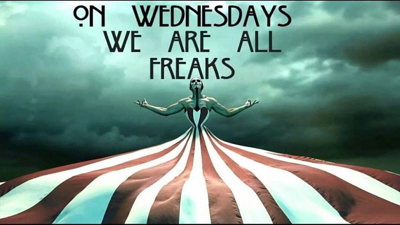 FREAKSHoW, TV show, Horror, Wednesday, freaks, FX, American, Story, HD wallpaper