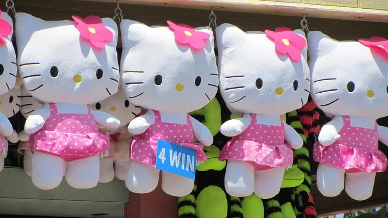 Hello Kitty, Prize, Game, Kings Island 2014, fun, HD wallpaper