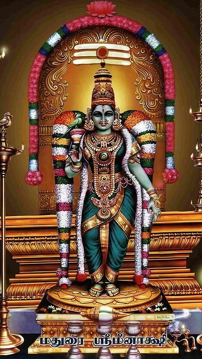 Madurai Meenakshi Amman, god meenakshi, lord, god, bhakti, devtional, HD phone wallpaper