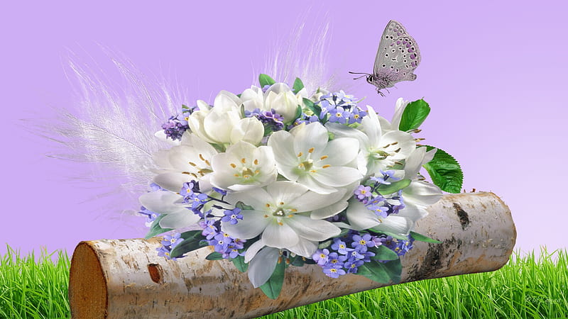 Birch Log and Flowers, grass, birch, spring, lavender, log, butterfly, summer, flowers, white, HD wallpaper