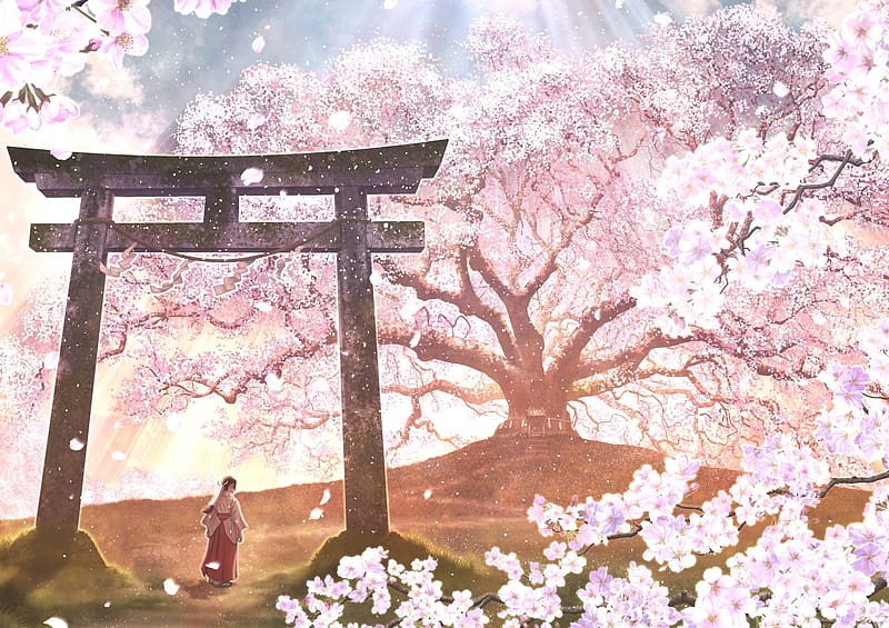 Anime, Flower, Tree, Spring, Petal, Oriental, Cherry Blossom, Original, Shrine, Blossom, Pink Flower, Traditional Costume, HD wallpaper
