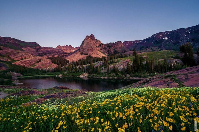 Lake Blanche, mountain, cool, flowers, nature, fun, lake, HD wallpaper