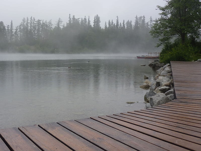 Foggy Lake, fog, mist, nature, rain, water, HD wallpaper